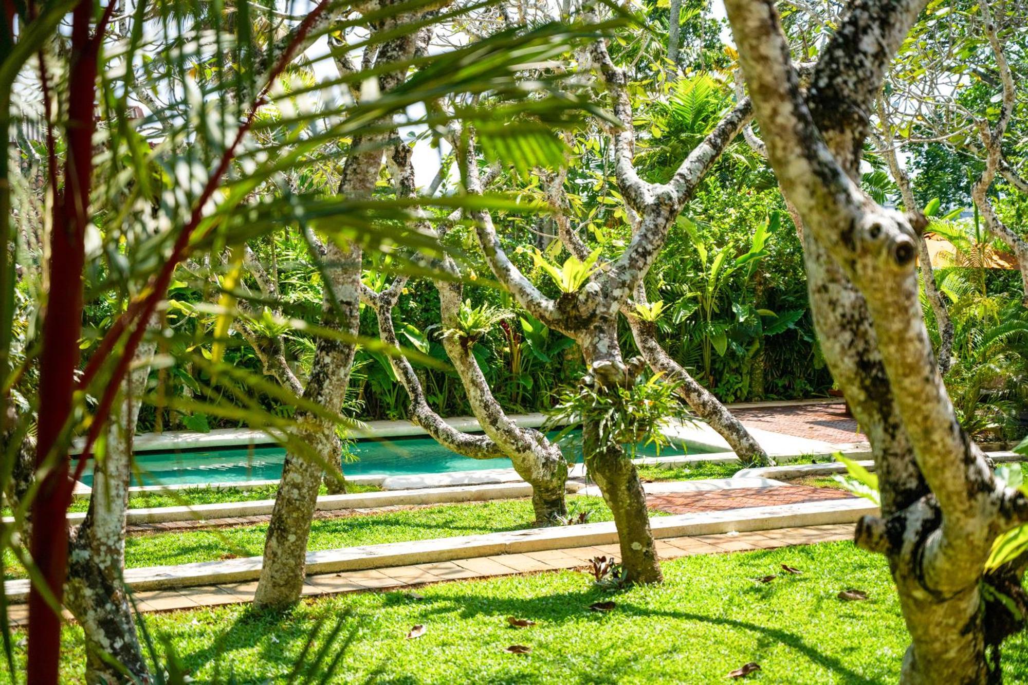 The Sun House Hotel Galle Exterior foto